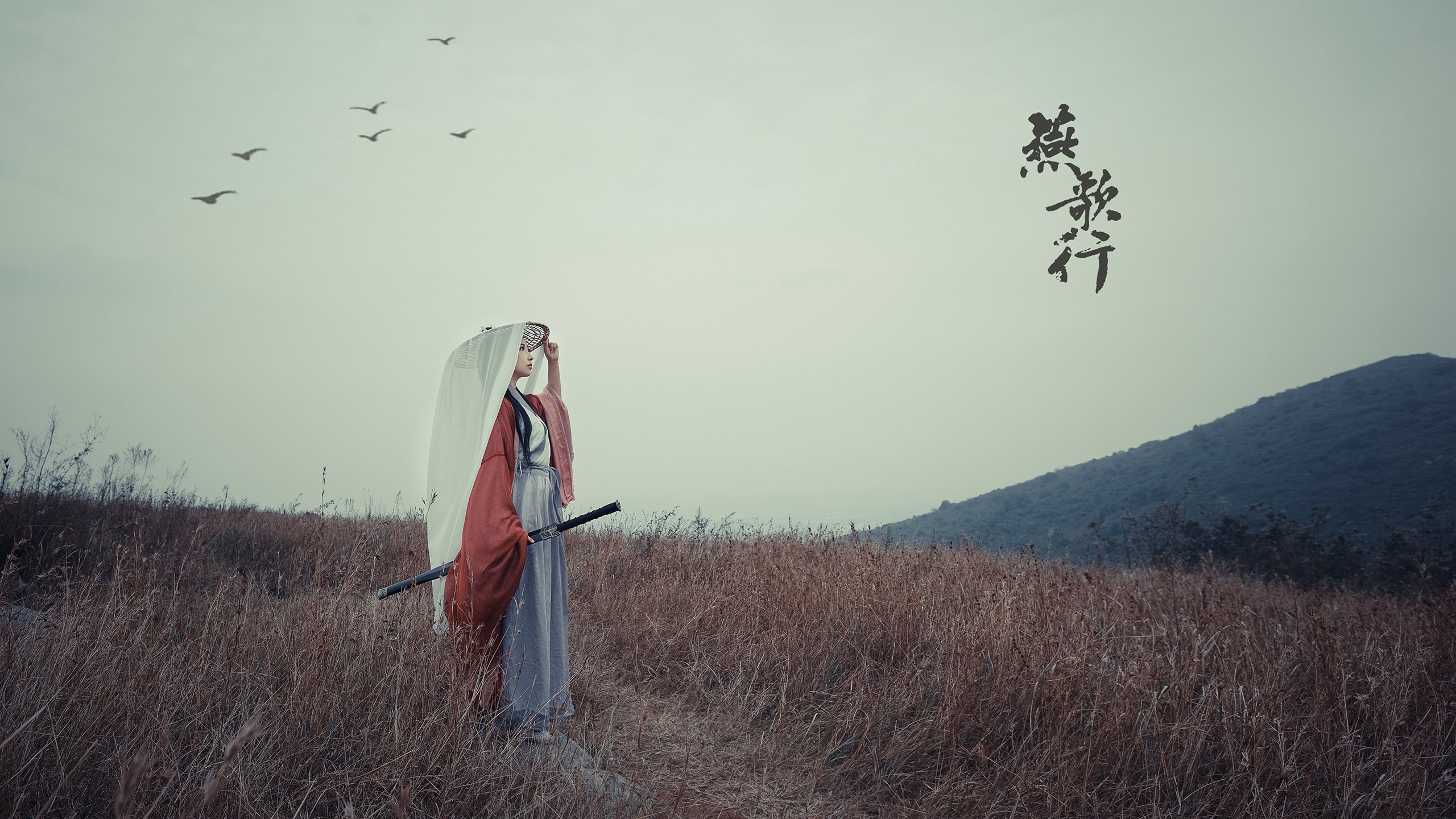 深圳队鏖战尼克斯，中美篮球新对话，塔图姆冷血一击定乾坤