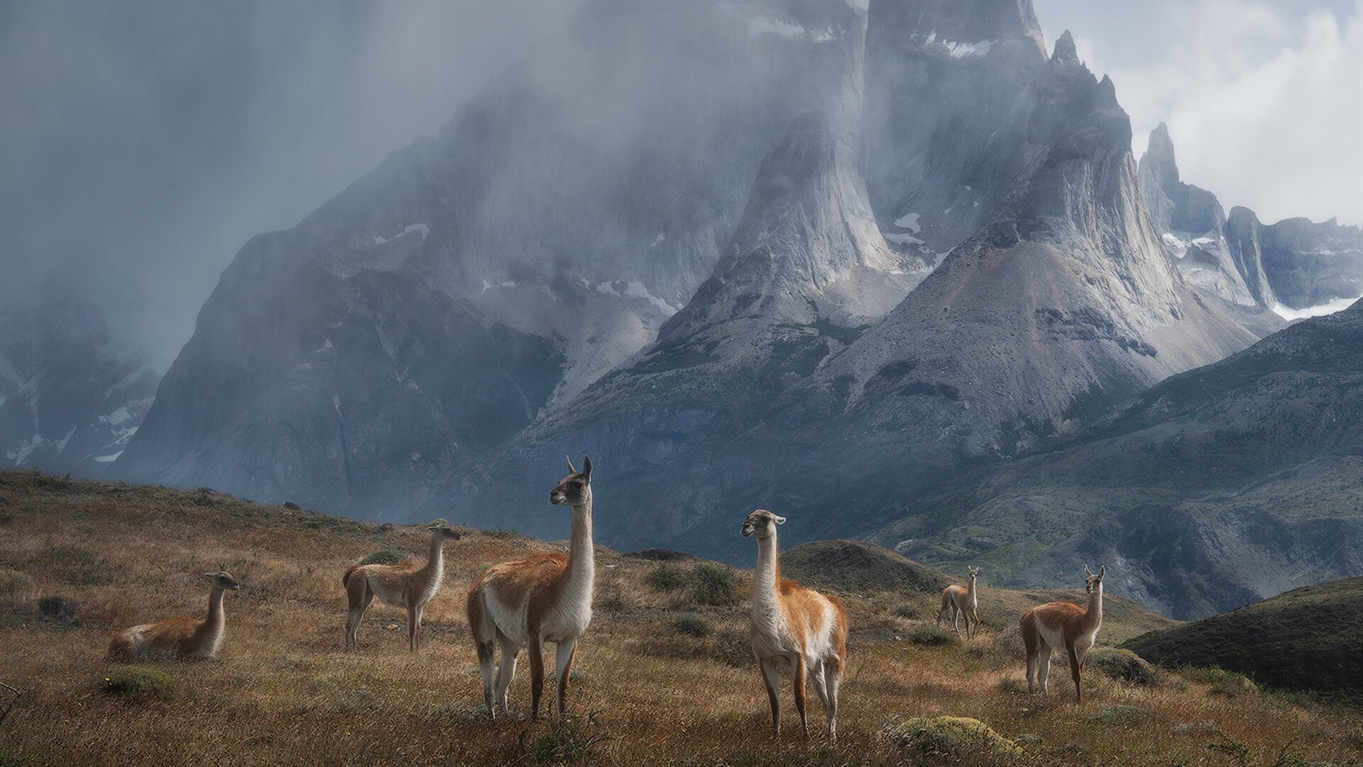 从巴黎红土到都灵硬地，阿尔卡拉斯用一场降维打击完成网球哲学的二次进化