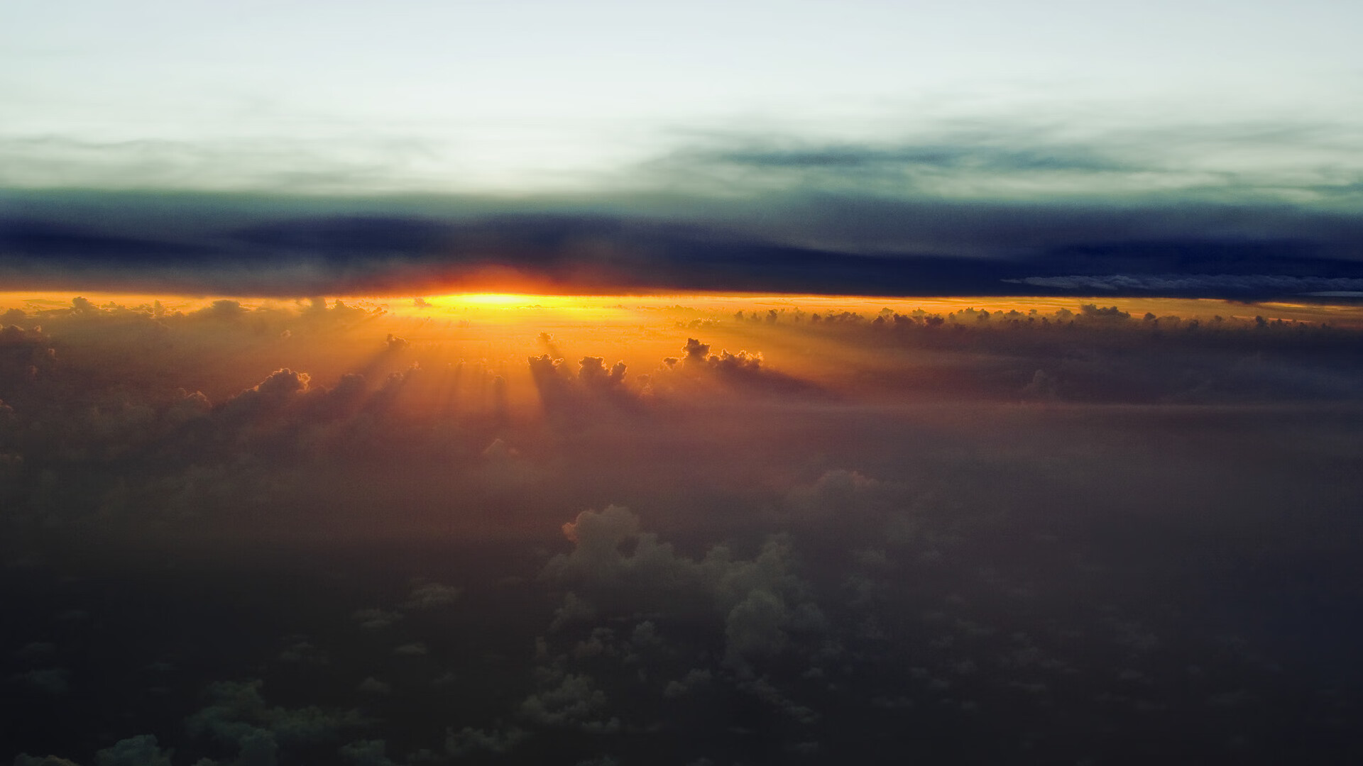 灰熊凶爪撕裂浙江防线,塔图姆致命一击定乾坤