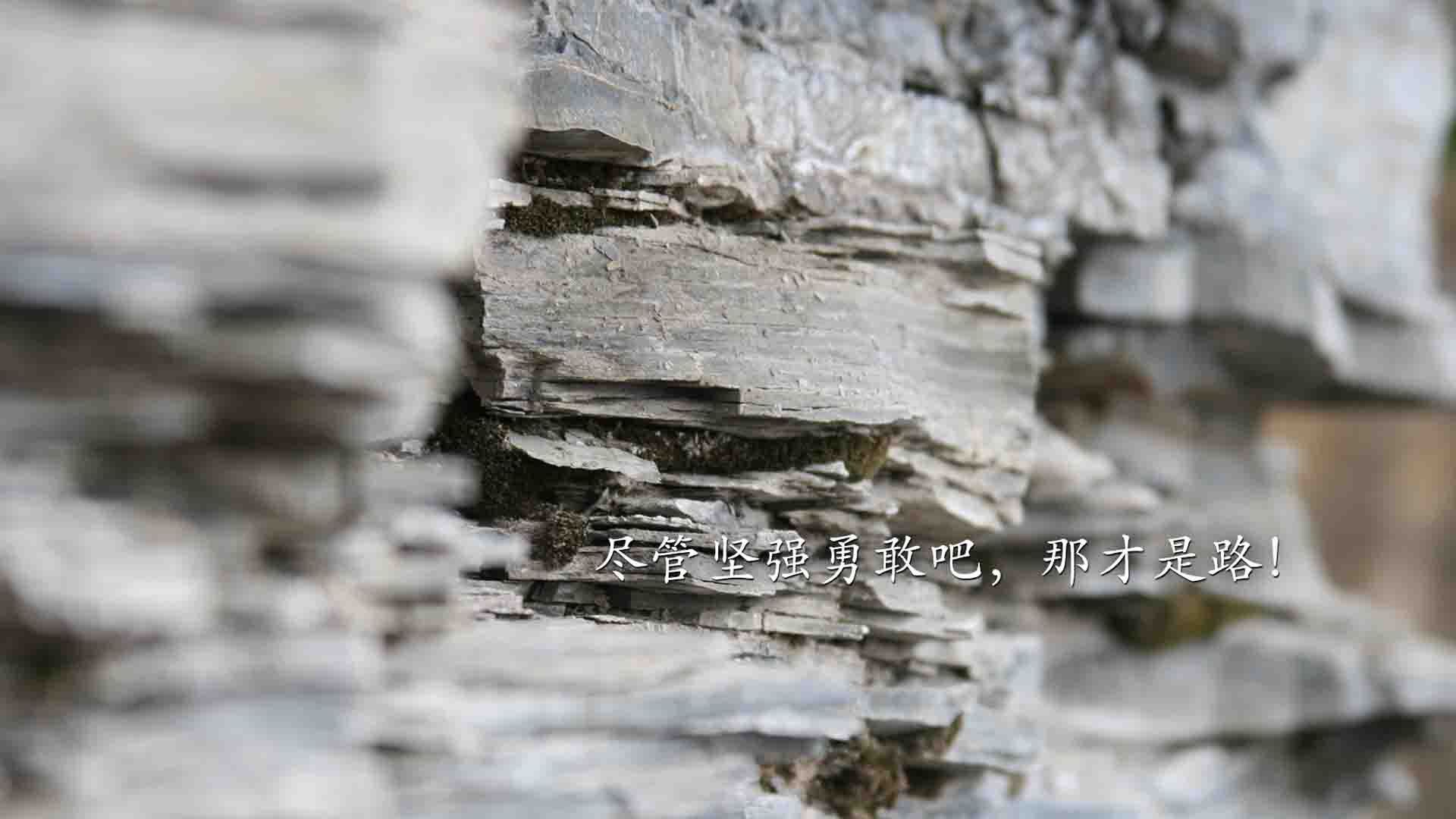 公牛血洗国王,锡安·威廉姆森把对手防线变成了他的角斗场