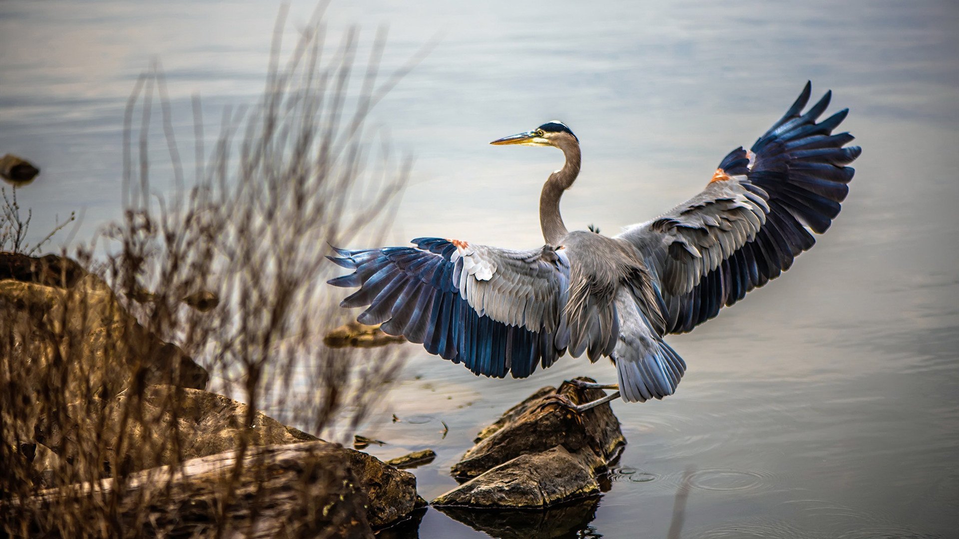 篮筐两端的传奇一夜，爆冷的启示与实力的证言