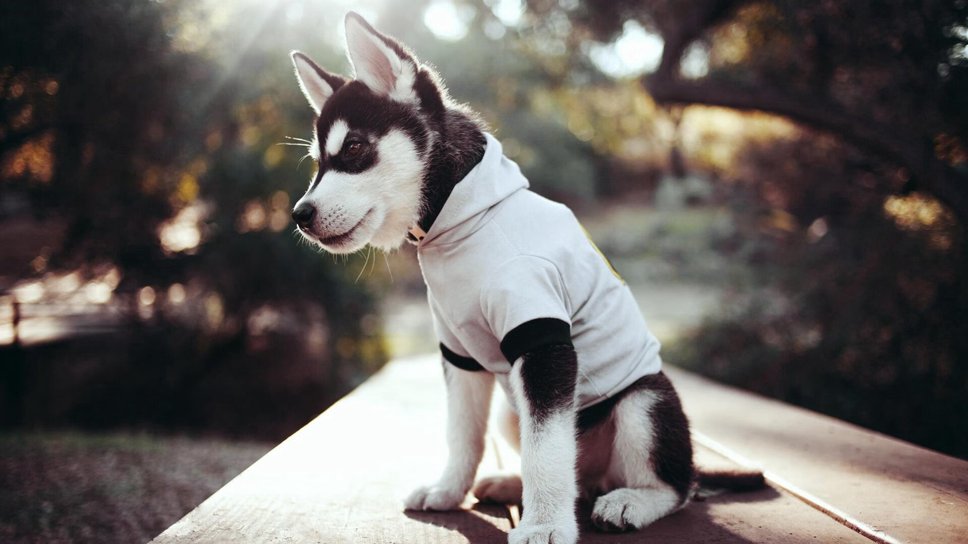 第四节七分钟零得分！当76人防线遇到贝恩，钢铁城墙为何变成筛子？