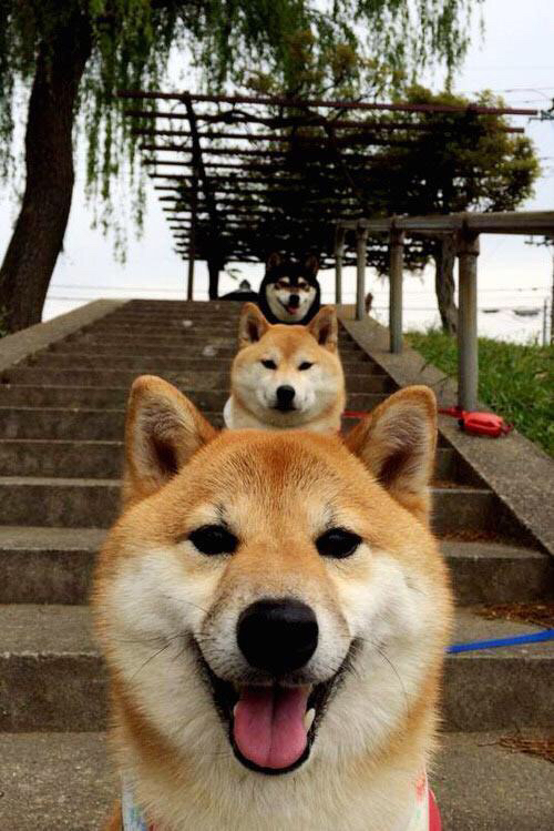 绝境中的法比尼奥双响炮，韩国队生死战逆转塞内加尔纪实