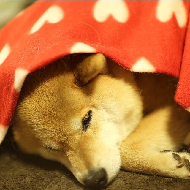 赛道上的禁飞区,一场改写历史的锁死攻防