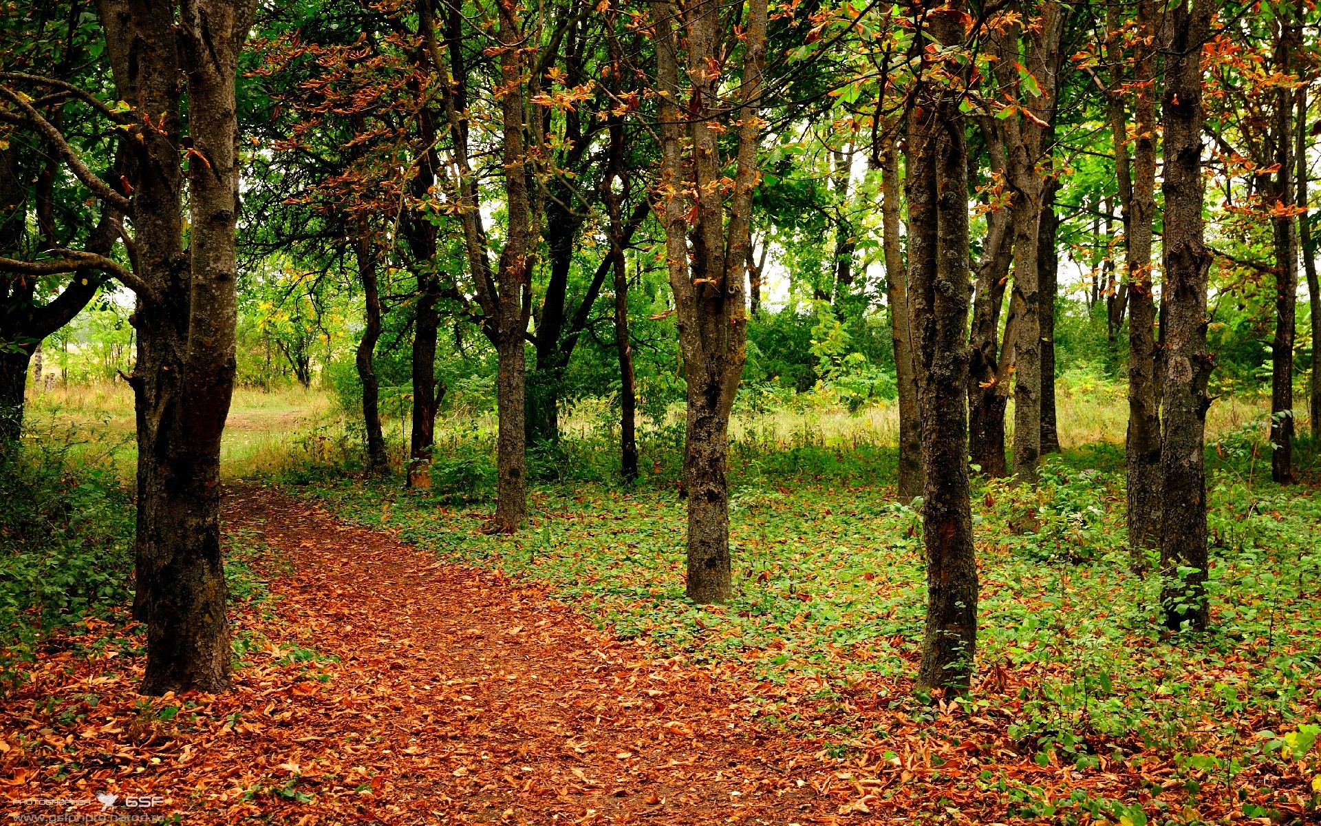 世界杯阴影下的无声风暴，当印第安纳用22-0的铁血洪流，审判芝加哥的足球梦