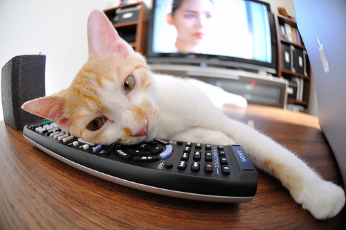 白山黑水间的橙色风暴，当胖虎锡安在零下二十度的球馆撕碎雷霆防线