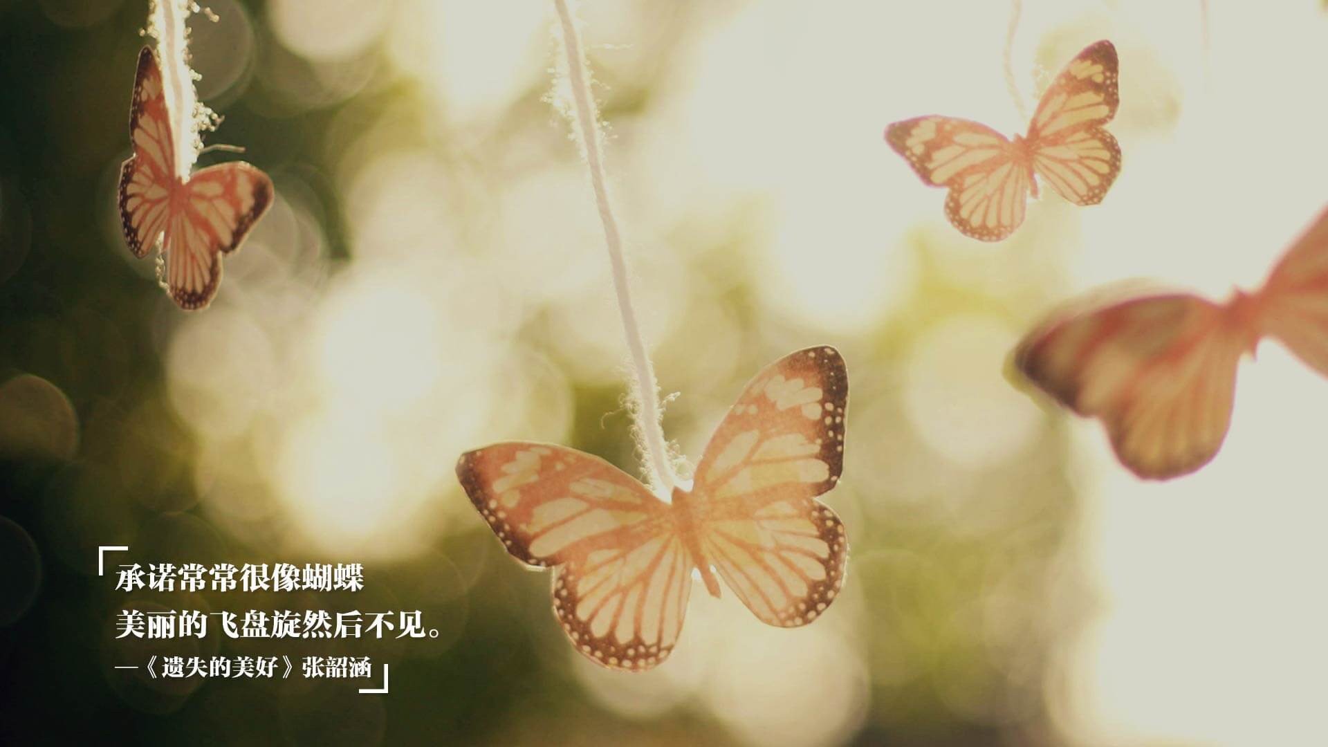 跨界之战，当班凯罗在2026世界杯之夜统治足球场