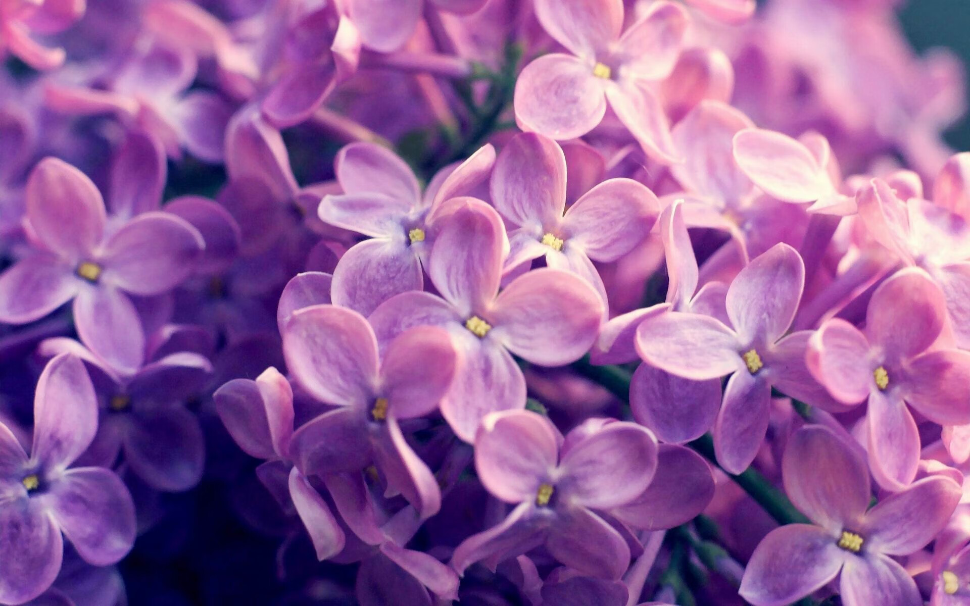 当布克让比赛提前失去悬念时，奇才强行终结活塞的隐喻