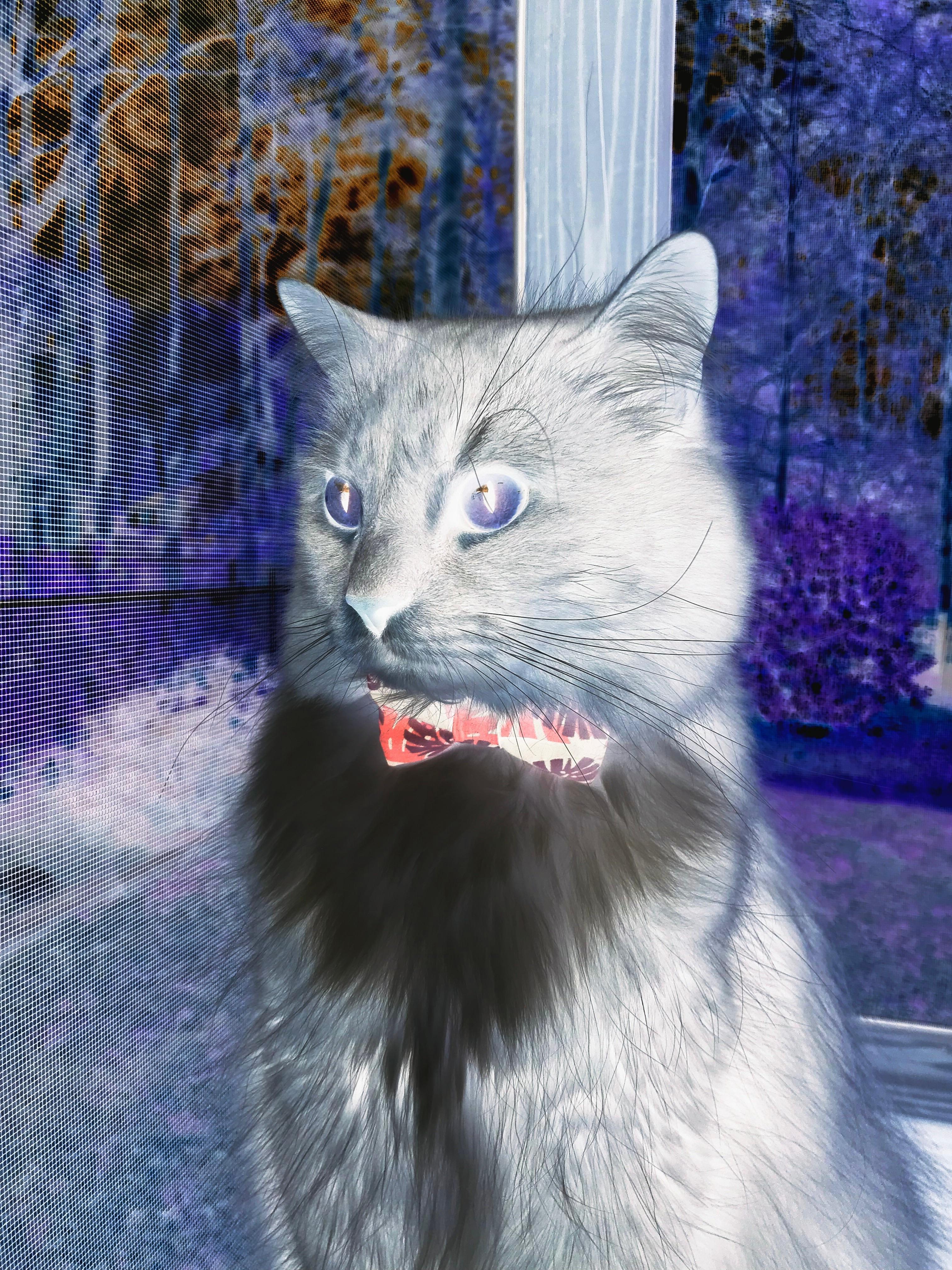 同一夜的魔术,山西绝境逢生与克利夫兰的双生奇迹