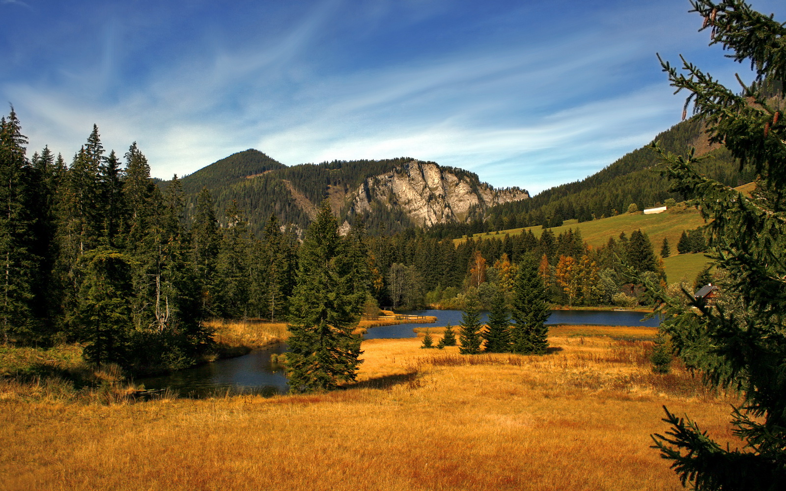 逆流而上,当奇才遇上猛龙,保罗用一场数字之外的胜利完成自证