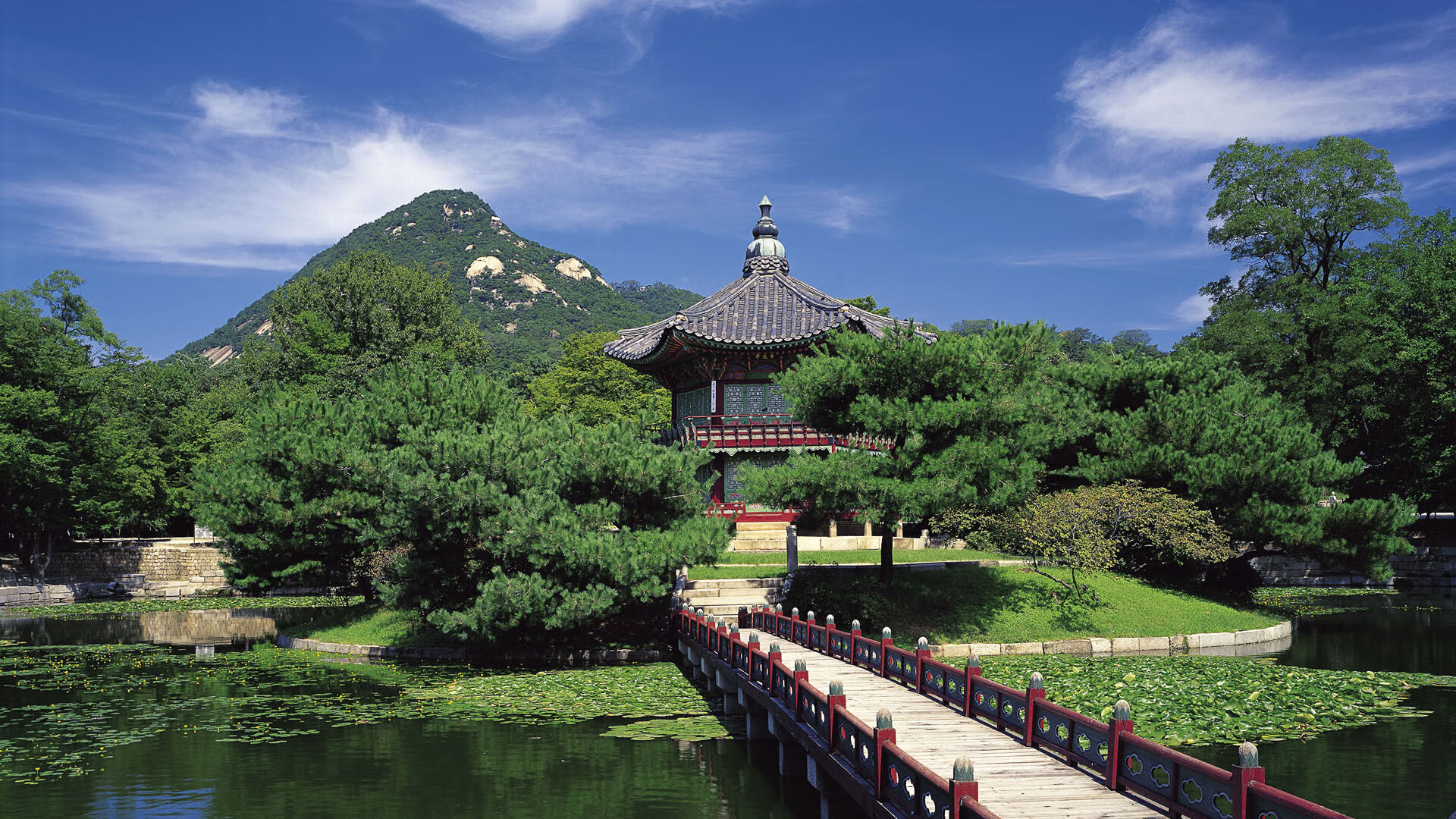 开云APP-金字塔尖的舞步，若日尼奥的优雅接管与埃及式收割